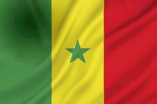 Vlag Senegal - 100x150cm Spun-Poly